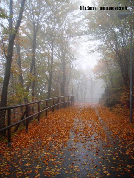 Strada in autunno